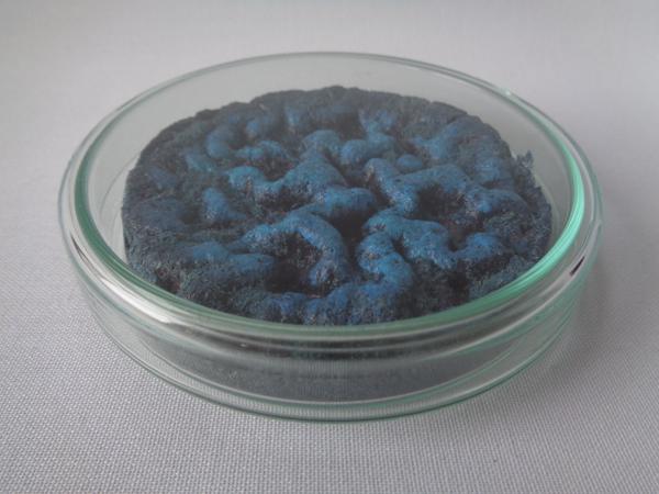 Vegan Experiments, No. 03, ve03, Mixed media, 10 cm x 10 cm x 2 cm, 2023