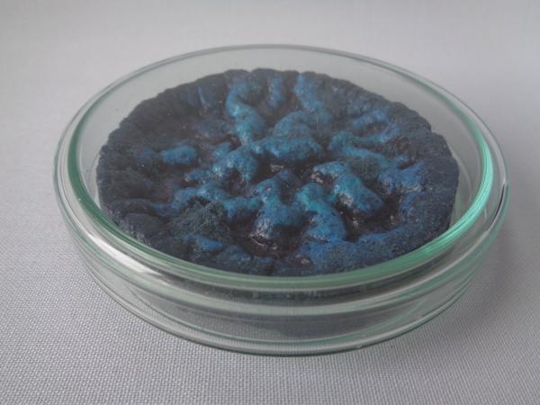 Vegan Experiments, No. 04, ve04, Mixed media, 10 cm x 10 cm x 2 cm, 2023