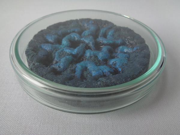 Vegan Experiments, No. 07, ve07, Mixed media, 10 cm x 10 cm x 2 cm, 2023