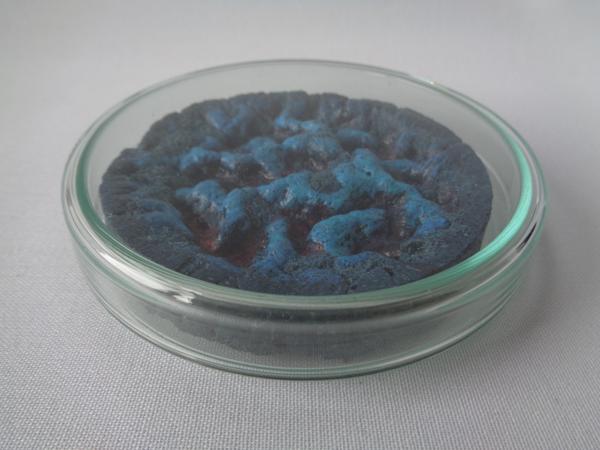 Vegan Experiments, No. 08, ve08, Mixed media, 10 cm x 10 cm x 2 cm, 2023