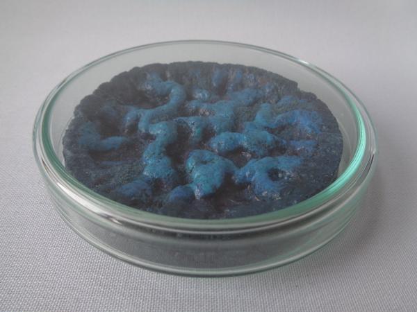Vegan Experiments, No. 09, ve09, Mixed media, 10 cm x 10 cm x 2 cm, 2023